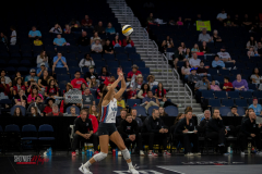Atlanta Vibe vs Dallas Pulse at Gas South Arena in Duluth, Georgia. Photo by Royce Bussey / Sho'Nuff iMages.