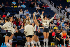 Atlanta Vibe vs Dallas Pulse at Gas South Arena in Duluth, Georgia. Photo by Royce Bussey / Sho'Nuff iMages.